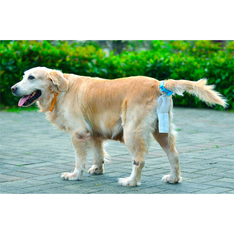 Kantong Piqapoo Kotoran Anjing Poop Bag Big Size with Tail 