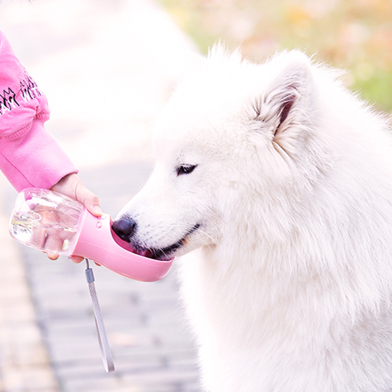 PB Botol Air Minum Khusus Hewan  Peliharaan  Pet Care Cup 