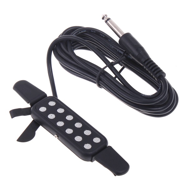 fishman microphone pickup