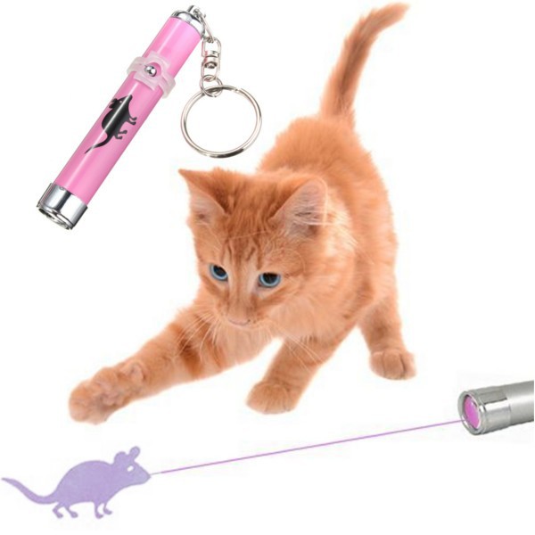  Mainan  Laser untuk Kucing  Pink JakartaNotebook com