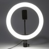 Gambar produk TaffSTUDIO Lampu Halo Ring Light LED Kamera 12W 8 Inch with Smartphone Holder - RL-21