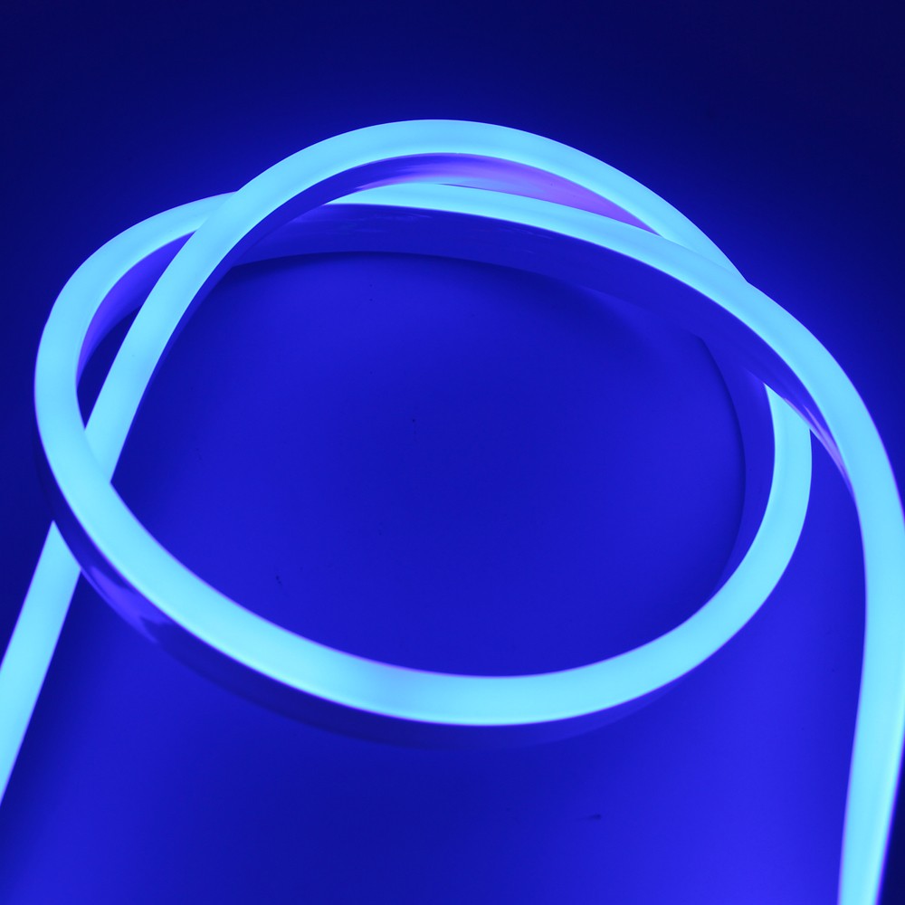  Lampu LED Strip  2835 220V 4 Meters EU Plug Blue 