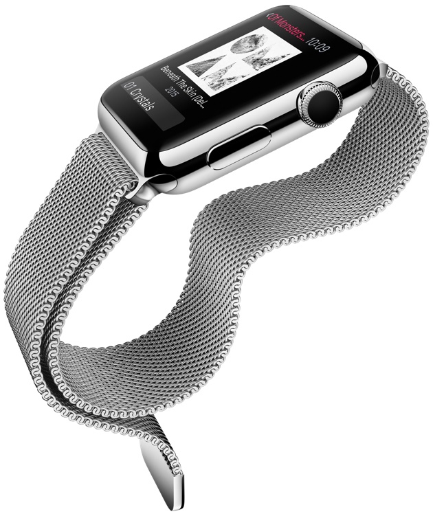  Lawrence Series Watch Strap for Apple Watch 42mm Series 1 amp 2  Silver